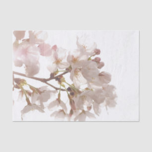 Hübsche Kirschblüten Seidenpapier