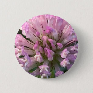 Hübsche Kleeblüte Button