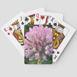 Hübsche Kleeblüte  Spielkarten