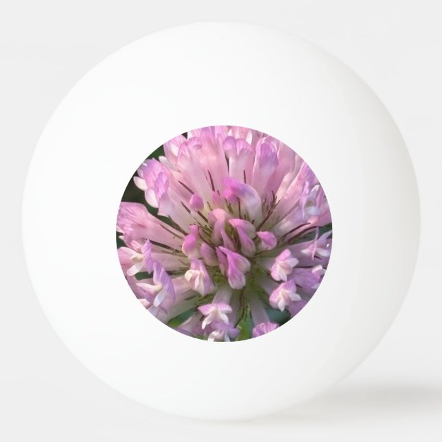Hübsche Kleeblüte  Tischtennisball (Vorderseite)