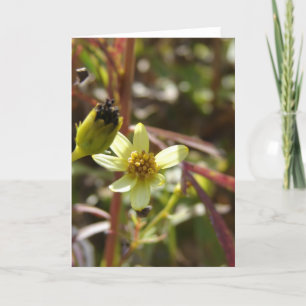 Hübsche kleine gelbe Blume Karte