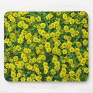 Hübsche kleine gelbe Blumen Mousepad