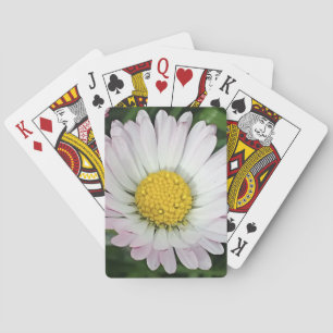 Hübsche Kneipe Spielkarten