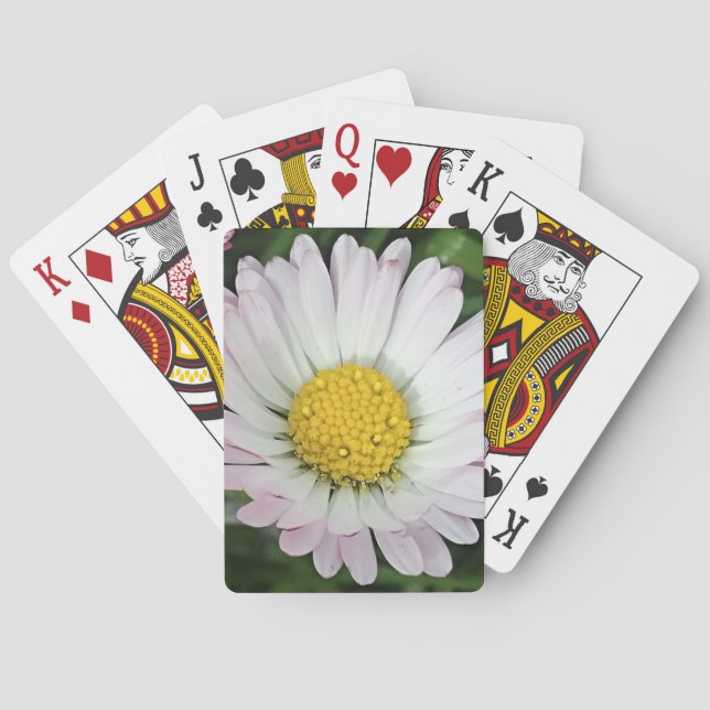 Hübsche Kneipe Spielkarten (Rückseite)