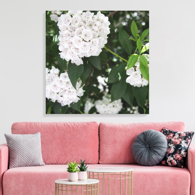 Hübsche Laurel Weiße Blume Leinwanddruck (Insitu (Wohnzimmer))
