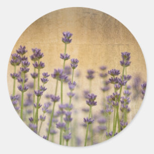 Hübsche Lavendel-Blume Runder Aufkleber