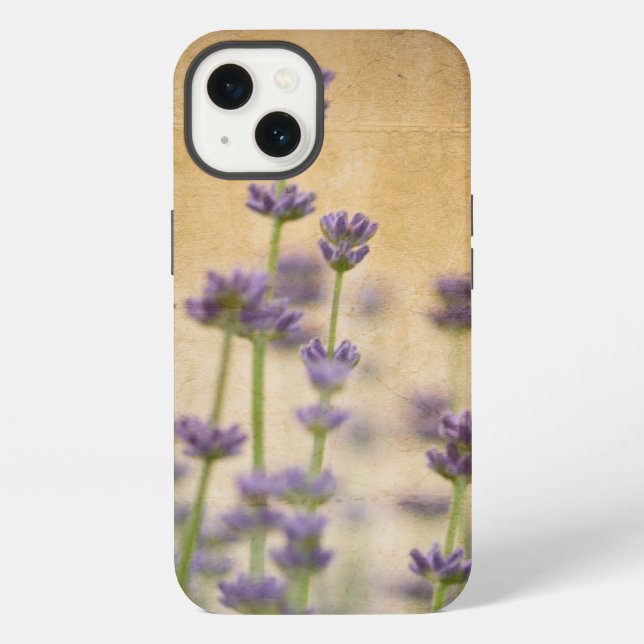 Hübsche Lavendelblumen iPhone Hülle (Rückseite)