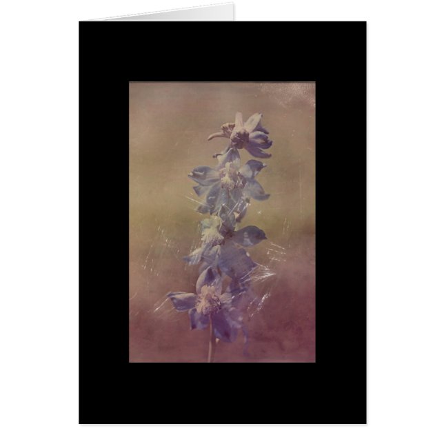 Hübsche Lila Blume Grunge (Vorne)