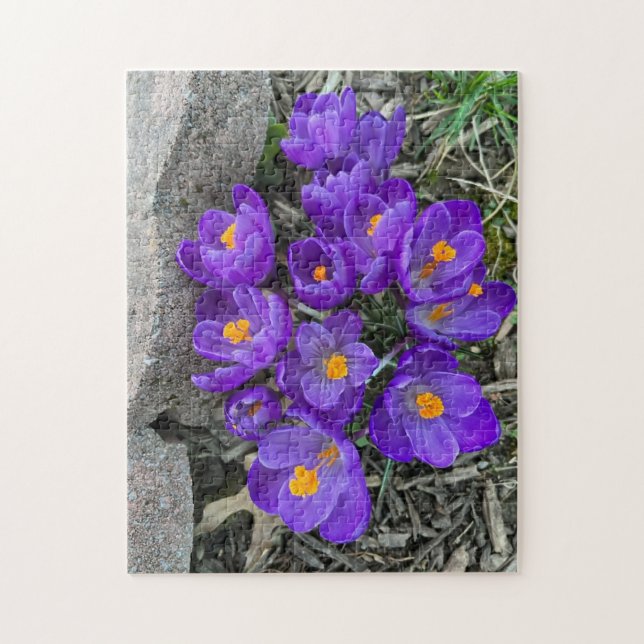 Hübsche Lila Crocus Blume im Garden Puzzles (Vertikal)