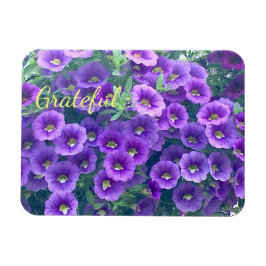 Hübsche Lila Dankbarkeit Petunia Magnet