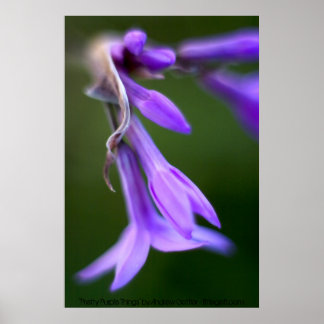 "Hübsche Lila Dinge" von Andrew Gettler Poster