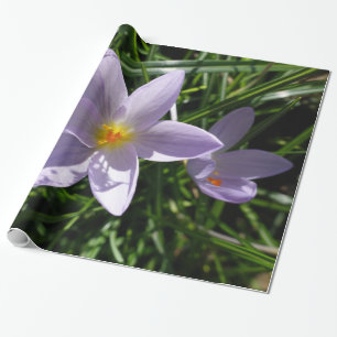 Hübsche lila Gartenanlage Blume. 美 丽 的 紫 花 色 Geschenkpapier