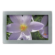 Hübsche lila Gartenanlage Blume. 美 丽 的 紫 花 色