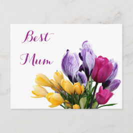 Hübsche, lila-gelbpinke Tulpe-Blume für Mum Feiertagspostkarte