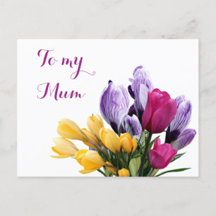 Hübsche, lila-gelbpinke Tulpe-Blume für Mum Feiertagspostkarte