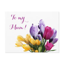 Hübsche, lila-gelbpinke Tulpe-Blume für Mum