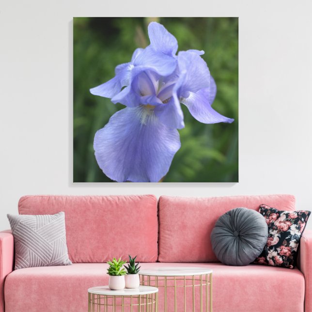 Hübsche Lila Iris Blume Canvas Print Leinwanddruck (Insitu (Wohnzimmer))