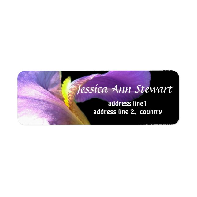 Hübsche lila Iris-Blume in schwarzem Foto (Vorne)