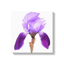 Hübsche lila Iris Blume Moderne, feine Blumenkunst
