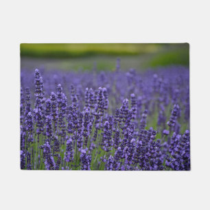 Hübsche lila Lavendel-Blumen Fußmatte