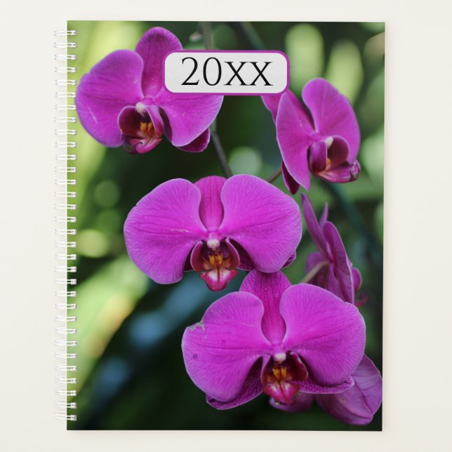 Hübsche Lila Orchideen für ein benutzerdefiniertes Planer (Vorderseite)
