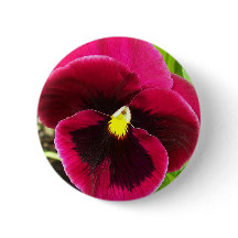 Hübsche Lila Pansy Floral