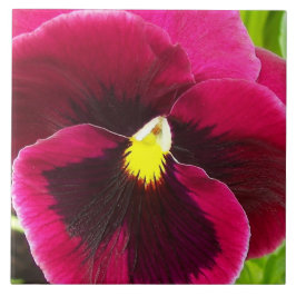 Hübsche Lila Pansy Floral Fliese