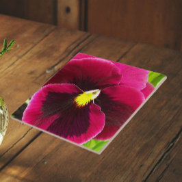 Hübsche Lila Pansy Floral Fliese