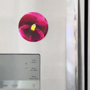 Hübsche Lila Pansy Floral Magnet
