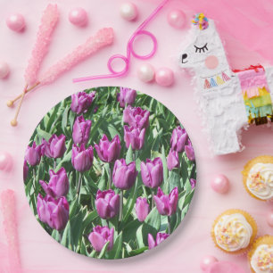 Hübsche Lila Tulissen Pappteller