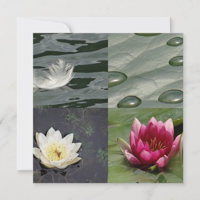 Hübsche Lilien (Vorderseite)