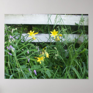 Hübsche Lilien und Blume Poster