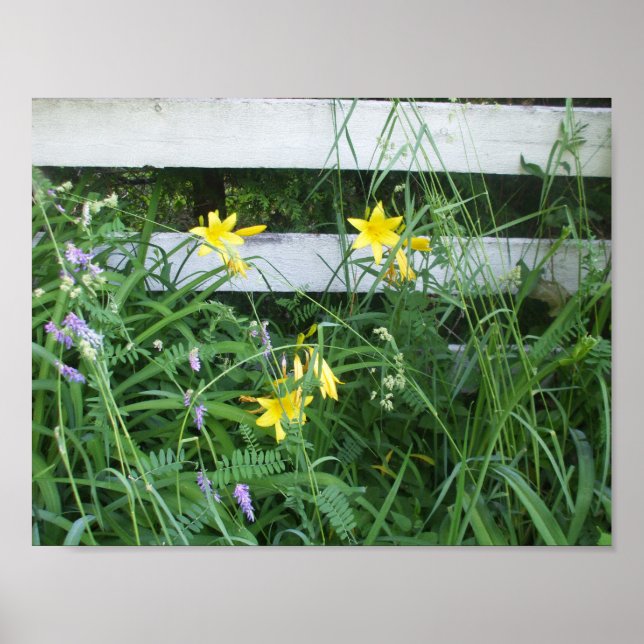 Hübsche Lilien und Blume Poster (Vorne)
