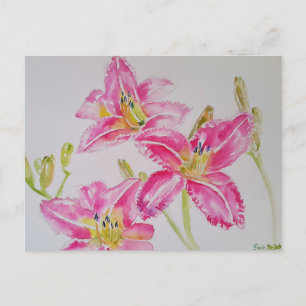 Hübsche Lily in Rosa Aquarell-Gemälde-Postkarte Postkarte