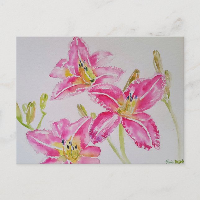 Hübsche Lily in rosa Aquarellmalerei Postkarte (Vorderseite)