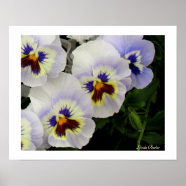 Hübsche Maid All In A Row von Linda Becker Poster