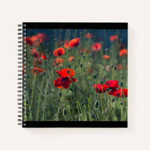 Hübsche Mohnblumen auf einer wilden Wiese Foto Notizbuch