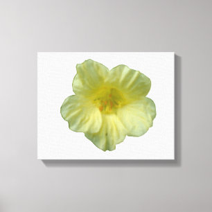 Hübsche Nasturtium Canvas Leinwanddruck