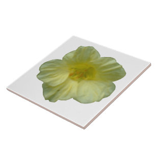 Hübsche Nasturtiumplatte Fliese