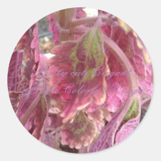 Hübsche Niedliche Elegant & Style Farbenfrohe Rund Runder Aufkleber