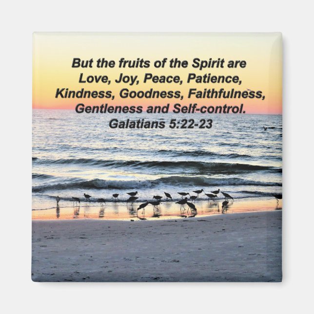 HÜBSCHE OBST DER SPIRITGALATIANER 5 MAGNET (Vorne)