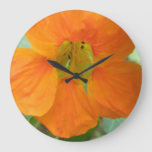 Hübsche Orange Nasturtium Blume Wall Clock Große Wanduhr (Vorderseite)