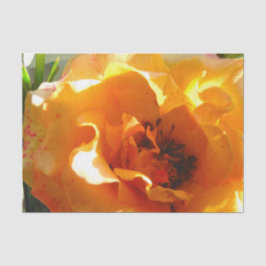 Hübsche orange Rose Seidenpapier