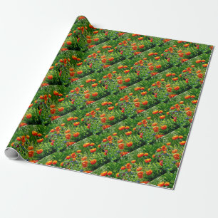 Hübsche Orangenmohn Geschenkpapier