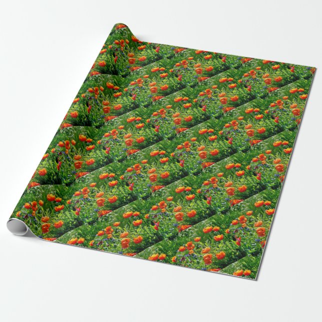Hübsche Orangenmohn Geschenkpapier (Ungerollt)