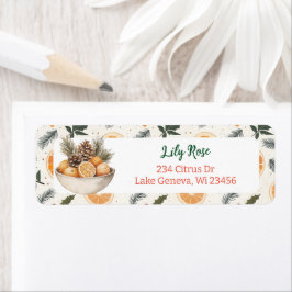 Hübsche Orangenscheiben und Kiefernzweige