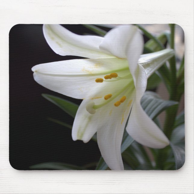 Hübsche Osterlilie-Blume in Schwarz Mousepad (Vorne)