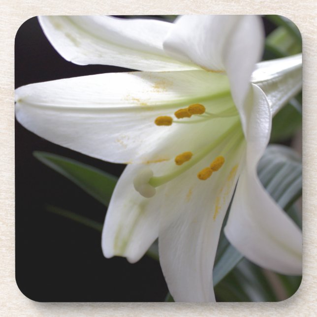 Hübsche Osterlilie-Blume in Schwarz Untersetzer (Vorderseite)