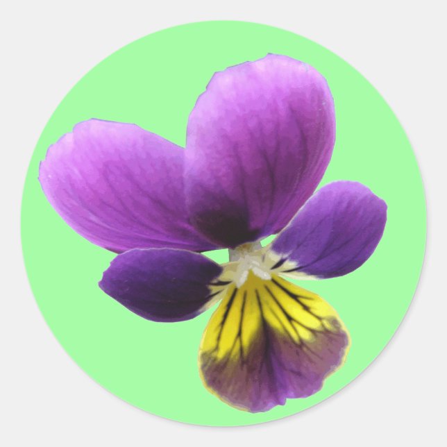 Hübsche Pansy-Aufkleber Runder Aufkleber (Vorderseite)