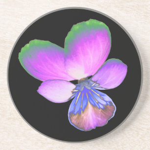 Hübsche Pansy Untersetzer
